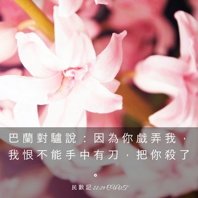 Picture 03 - 民 數 記 22:29 CUVT - 巴 蘭 對 驢 說 ： 因 為 你 戲 弄 我 - Bible Verse Picture