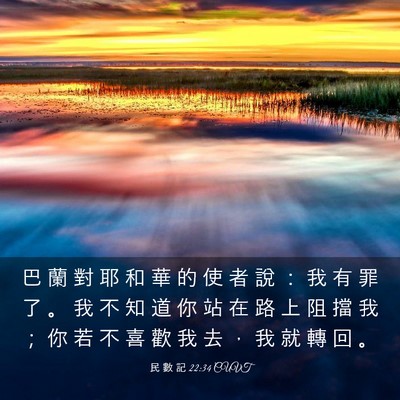 Picture 03 - 民 數 記 22:34 CUVT - 巴 蘭 對 耶 和 華 的 使 者 說 ： 我 - Bible Verse Picture