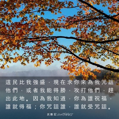 Picture 03 - 民 數 記 22:6 CUVT - 這 民 比 我 強 盛 ， 現 在 求 你 來 - Bible Verse Picture