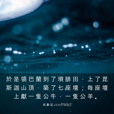 Picture 03 - 民 數 記 23:14 CUVT - 於 是 領 巴 蘭 到 了 瑣 腓 田 ， 上 - Bible Verse Picture