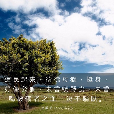 Picture 03 - 民 數 記 23:24 CUVT - 這 民 起 來 ， 彷 彿 母 獅 ， 挺 身 - Bible Verse Picture