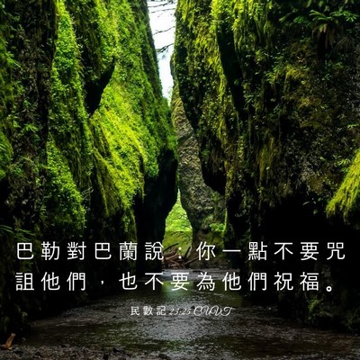 Picture 03 - 民 數 記 23:25 CUVT - 巴 勒 對 巴 蘭 說 ： 你 一 點 不 要 - Bible Verse Picture