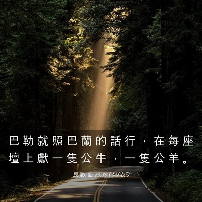 Picture 03 - 民 數 記 23:30 CUVT - 巴 勒 就 照 巴 蘭 的 話 行 ， 在 每 - Bible Verse Picture