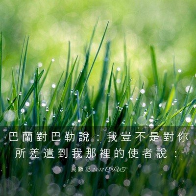 Picture 03 - 民 數 記 24:12 CUVT - 巴 蘭 對 巴 勒 說 ： 我 豈 不 是 對 - Bible Verse Picture