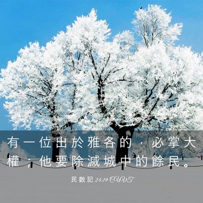Picture 03 - 民 數 記 24:19 CUVT - 有 一 位 出 於 雅 各 的 ， 必 掌 大 - Bible Verse Picture
