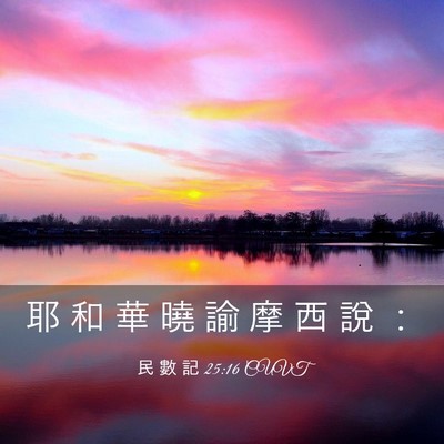 Picture 03 - 民 數 記 25:16 CUVT - 耶 和 華 曉 諭 摩 西 說 - Bible Verse Picture