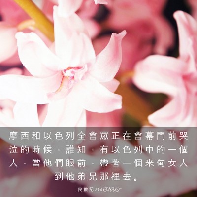 Picture 03 - 民 數 記 25:6 CUVT - 摩 西 和 以 色 列 全 會 眾 正 在 會 - Bible Verse Picture
