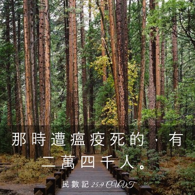 Picture 03 - 民 數 記 25:9 CUVT - 那 時 遭 瘟 疫 死 的 ， 有 二 萬 四 - Bible Verse Picture