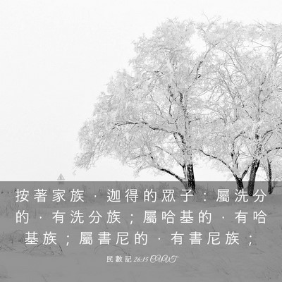 Picture 03 - 民 數 記 26:15 CUVT - 按 著 家 族 ， 迦 得 的 眾 子 ： 屬 - Bible Verse Picture