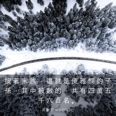 Picture 03 - 民 數 記 26:41 CUVT - 按 著 家 族 ， 這 就 是 便 雅 憫 的 - Bible Verse Picture