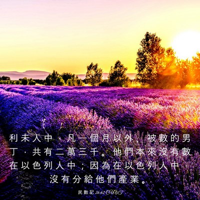 Picture 03 - 民 數 記 26:62 CUVT - 利 未 人 中 ， 凡 一 個 月 以 外 、 - Bible Verse Picture