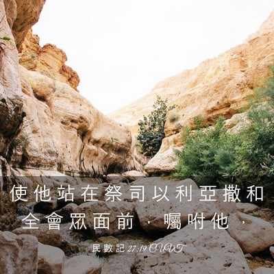 Picture 03 - 民 數 記 27:19 CUVT - 使 他 站 在 祭 司 以 利 亞 撒 和 全 - Bible Verse Picture