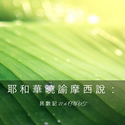 Picture 03 - 民 數 記 27:6 CUVT - 耶 和 華 曉 諭 摩 西 說 - Bible Verse Picture