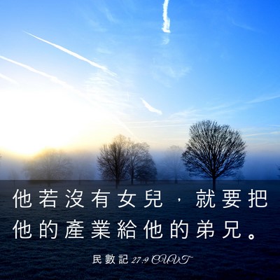 Picture 03 - 民 數 記 27:9 CUVT - 他 若 沒 有 女 兒 ， 就 要 把 他 的 - Bible Verse Picture