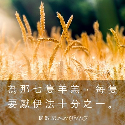 Picture 03 - 民 數 記 28:21 CUVT - 為 那 七 隻 羊 羔 ， 每 隻 要 獻 伊 - Bible Verse Picture