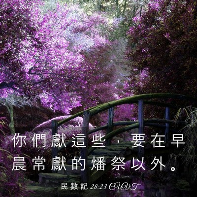 Picture 03 - 民 數 記 28:23 CUVT - 你 們 獻 這 些 ， 要 在 早 晨 常 獻 - Bible Verse Picture