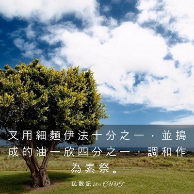 Picture 03 - 民 數 記 28:5 CUVT - 又 用 細 麵 伊 法 十 分 之 一 ， 並 - Bible Verse Picture