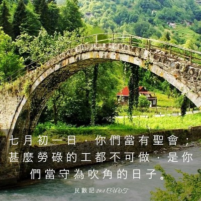 Picture 03 - 民 數 記 29:1 CUVT - 七 月 初 一 日 ， 你 們 當 有 聖 會 - Bible Verse Picture
