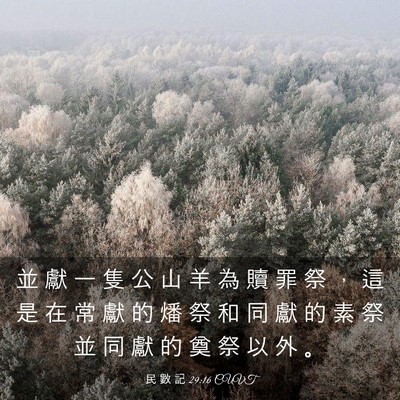 Picture 03 - 民 數 記 29:16 CUVT - 並 獻 一 隻 公 山 羊 為 贖 罪 祭 ， - Bible Verse Picture