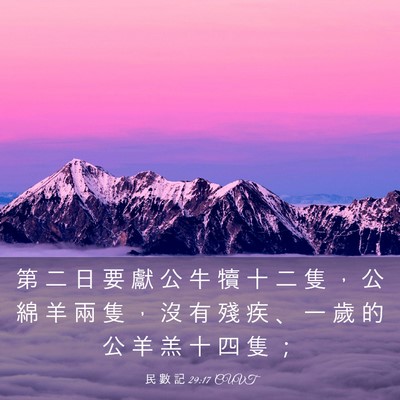 Picture 03 - 民 數 記 29:17 CUVT - 第 二 日 要 獻 公 牛 犢 十 二 隻 ， - Bible Verse Picture
