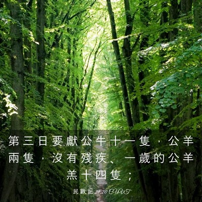 Picture 03 - 民 數 記 29:20 CUVT - 第 三 日 要 獻 公 牛 十 一 隻 ， 公 - Bible Verse Picture
