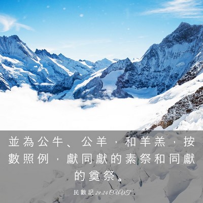 Picture 03 - 民 數 記 29:24 CUVT - 並 為 公 牛 、 公 羊 ， 和 羊 羔 ， - Bible Verse Picture