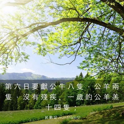 Picture 03 - 民 數 記 29:29 CUVT - 第 六 日 要 獻 公 牛 八 隻 ， 公 羊 - Bible Verse Picture