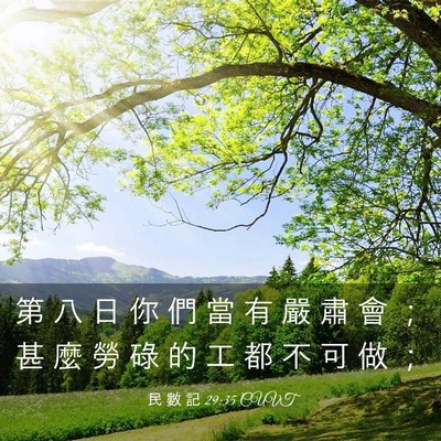 Picture 03 - 民 數 記 29:35 CUVT - 第 八 日 你 們 當 有 嚴 肅 會 ； 甚 - Bible Verse Picture