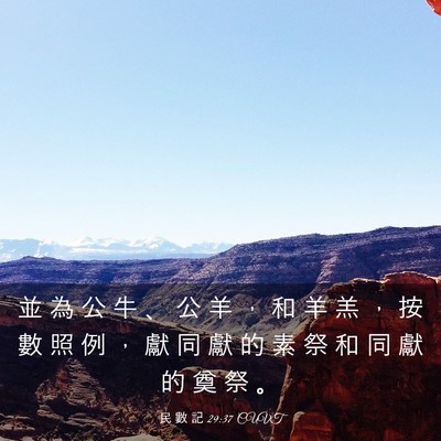 Picture 03 - 民 數 記 29:37 CUVT - 並 為 公 牛 、 公 羊 ， 和 羊 羔 ， - Bible Verse Picture