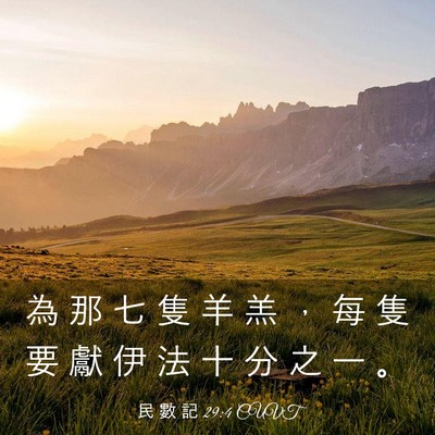 Picture 03 - 民 數 記 29:4 CUVT - 為 那 七 隻 羊 羔 ， 每 隻 要 獻 伊 - Bible Verse Picture