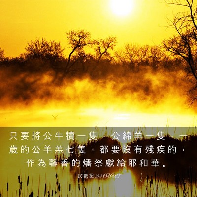 Picture 03 - 民 數 記 29:8 CUVT - 只 要 將 公 牛 犢 一 隻 ， 公 綿 羊 - Bible Verse Picture