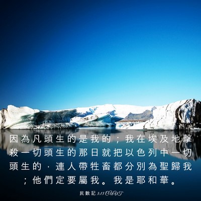 Picture 03 - 民 數 記 3:13 CUVT - 因 為 凡 頭 生 的 是 我 的 ； 我 在 - Bible Verse Picture