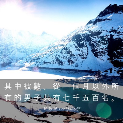 Picture 03 - 民 數 記 3:22 CUVT - 其 中 被 數 、 從 一 個 月 以 外 所 - Bible Verse Picture