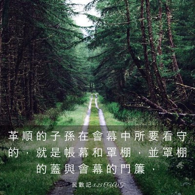 Picture 03 - 民 數 記 3:25 CUVT - 革 順 的 子 孫 在 會 幕 中 所 要 看 - Bible Verse Picture