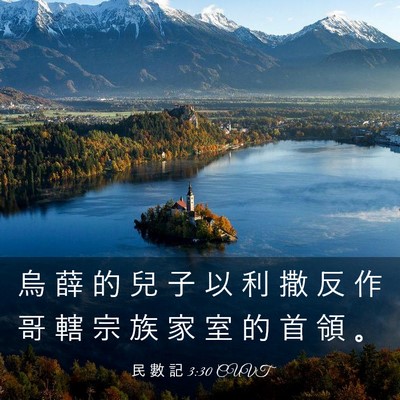 Picture 03 - 民 數 記 3:30 CUVT - 烏 薛 的 兒 子 以 利 撒 反 作 哥 轄 - Bible Verse Picture