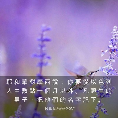 Picture 03 - 民 數 記 3:40 CUVT - 耶 和 華 對 摩 西 說 ： 你 要 從 以 - Bible Verse Picture