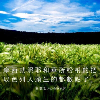 Picture 03 - 民 數 記 3:42 CUVT - 摩 西 就 照 耶 和 華 所 吩 咐 的 把 - Bible Verse Picture
