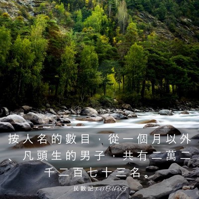Picture 03 - 民 數 記 3:43 CUVT - 按 人 名 的 數 目 ， 從 一 個 月 以 - Bible Verse Picture