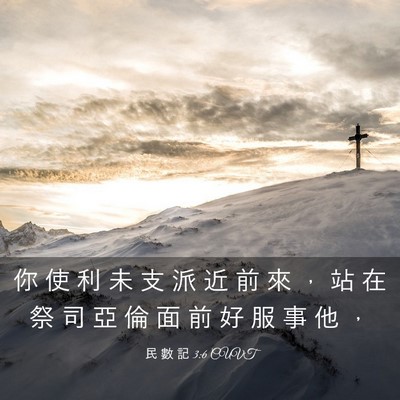 Picture 03 - 民 數 記 3:6 CUVT - 你 使 利 未 支 派 近 前 來 ， 站 在 - Bible Verse Picture