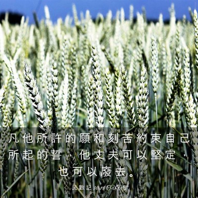 Picture 03 - 民 數 記 30:13 CUVT - 凡 他 所 許 的 願 和 刻 苦 約 束 自 - Bible Verse Picture