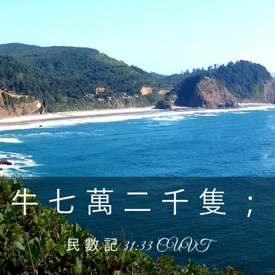 Picture 03 - 民 數 記 31:33 CUVT - 牛 七 萬 二 千 隻 - Bible Verse Picture