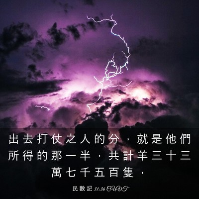 Picture 03 - 民 數 記 31:36 CUVT - 出 去 打 仗 之 人 的 分 ， 就 是 他 - Bible Verse Picture