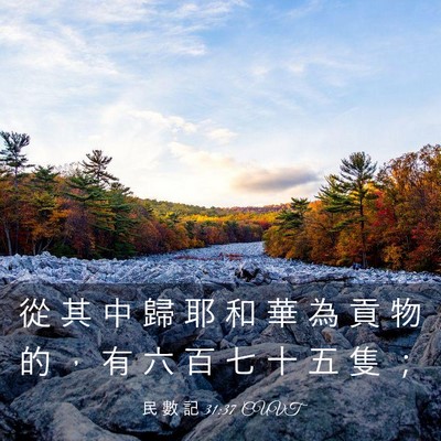 Picture 03 - 民 數 記 31:37 CUVT - 從 其 中 歸 耶 和 華 為 貢 物 的 ， - Bible Verse Picture