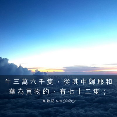 Picture 03 - 民 數 記 31:38 CUVT - 牛 三 萬 六 千 隻 ， 從 其 中 歸 耶 - Bible Verse Picture