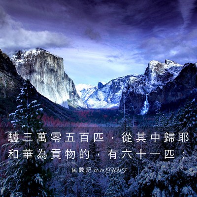 Picture 03 - 民 數 記 31:39 CUVT - 驢 三 萬 零 五 百 匹 ， 從 其 中 歸 - Bible Verse Picture