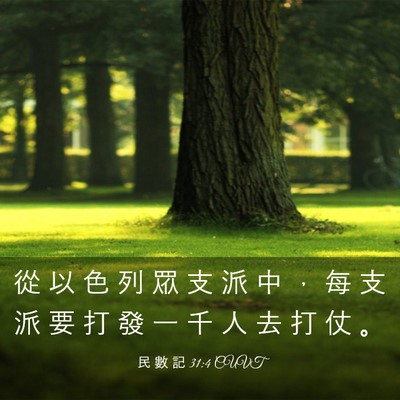 Picture 03 - 民 數 記 31:4 CUVT - 從 以 色 列 眾 支 派 中 ， 每 支 派 - Bible Verse Picture