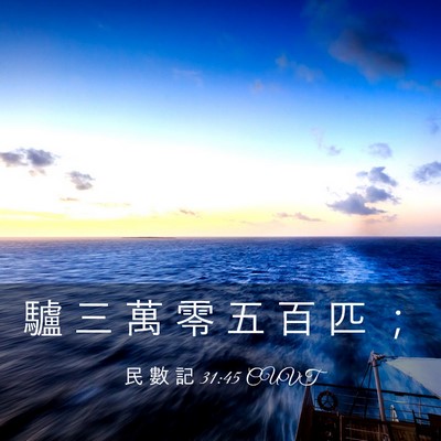 Picture 03 - 民 數 記 31:45 CUVT - 驢 三 萬 零 五 百 匹 - Bible Verse Picture