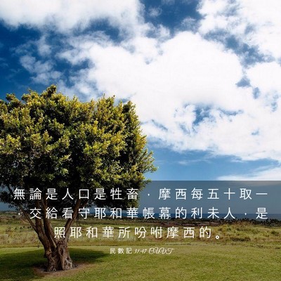 Picture 03 - 民 數 記 31:47 CUVT - 無 論 是 人 口 是 牲 畜 ， 摩 西 每 - Bible Verse Picture