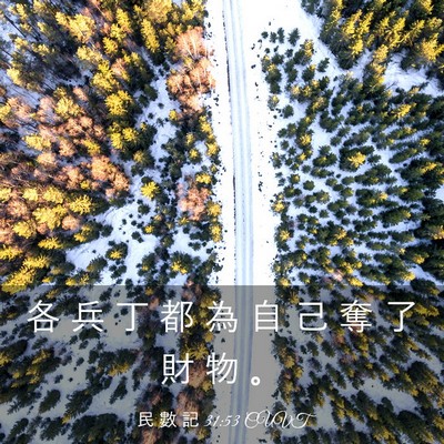 Picture 03 - 民 數 記 31:53 CUVT - 各 兵 丁 都 為 自 己 奪 了 財 物 - Bible Verse Picture