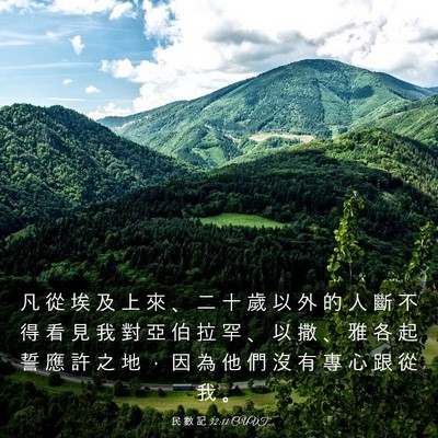 Picture 03 - 民 數 記 32:11 CUVT - 凡 從 埃 及 上 來 、 二 十 歲 以 外 - Bible Verse Picture